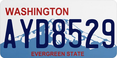 WA license plate AYD8529