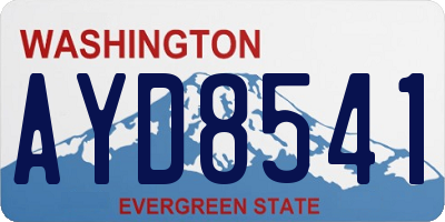 WA license plate AYD8541
