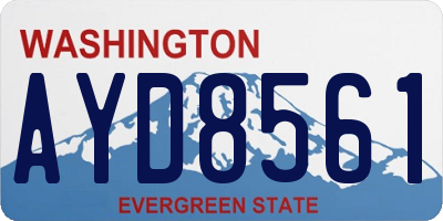 WA license plate AYD8561