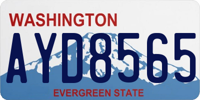 WA license plate AYD8565