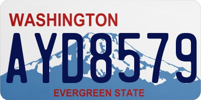 WA license plate AYD8579