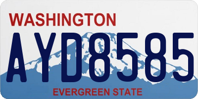 WA license plate AYD8585