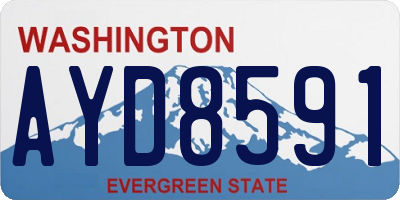 WA license plate AYD8591