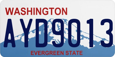 WA license plate AYD9013