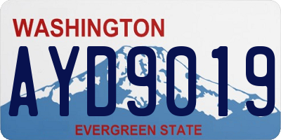 WA license plate AYD9019