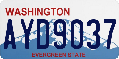 WA license plate AYD9037