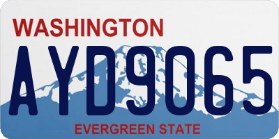 WA license plate AYD9065