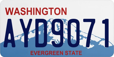 WA license plate AYD9071