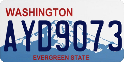 WA license plate AYD9073