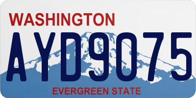 WA license plate AYD9075
