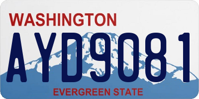 WA license plate AYD9081