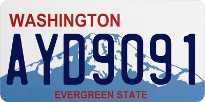 WA license plate AYD9091