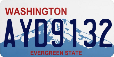 WA license plate AYD9132