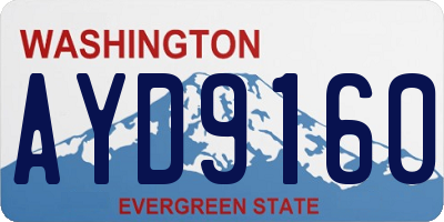 WA license plate AYD9160