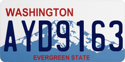 WA license plate AYD9163