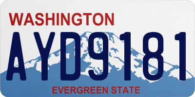 WA license plate AYD9181