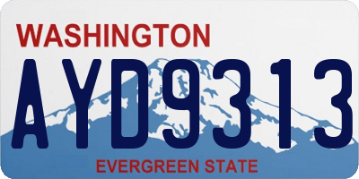 WA license plate AYD9313