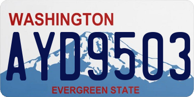 WA license plate AYD9503