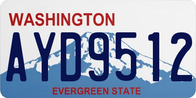 WA license plate AYD9512