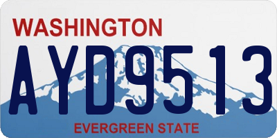 WA license plate AYD9513
