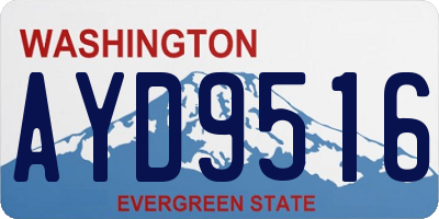 WA license plate AYD9516
