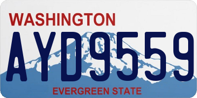 WA license plate AYD9559