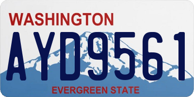 WA license plate AYD9561