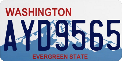 WA license plate AYD9565