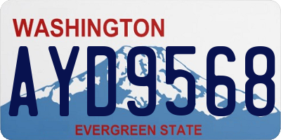 WA license plate AYD9568