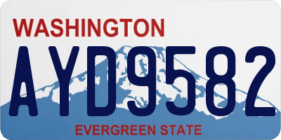WA license plate AYD9582