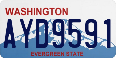 WA license plate AYD9591