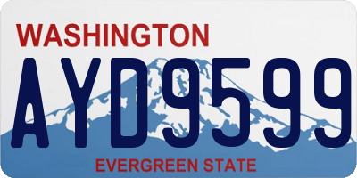 WA license plate AYD9599