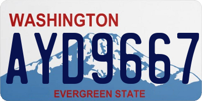 WA license plate AYD9667