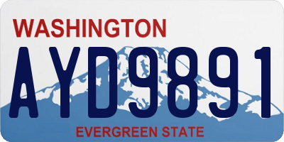 WA license plate AYD9891