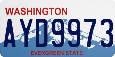 WA license plate AYD9973