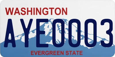 WA license plate AYE0003
