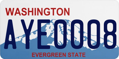 WA license plate AYE0008