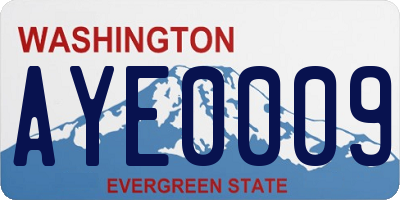 WA license plate AYE0009
