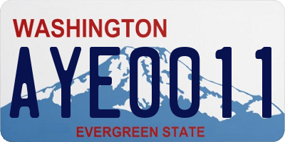 WA license plate AYE0011