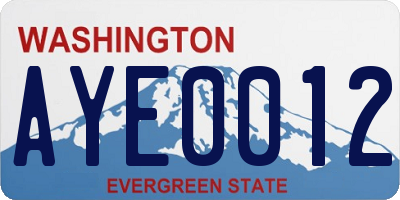 WA license plate AYE0012