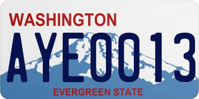WA license plate AYE0013