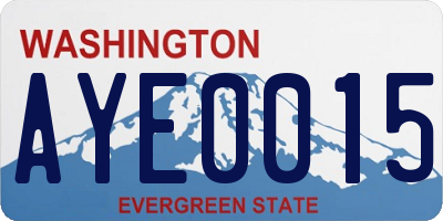 WA license plate AYE0015