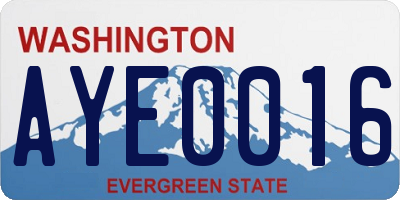 WA license plate AYE0016