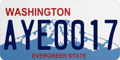 WA license plate AYE0017
