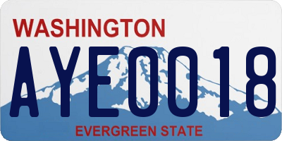 WA license plate AYE0018