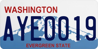 WA license plate AYE0019