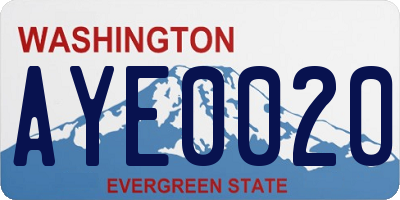 WA license plate AYE0020