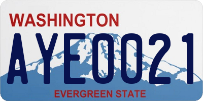 WA license plate AYE0021
