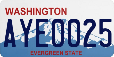 WA license plate AYE0025
