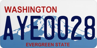 WA license plate AYE0028